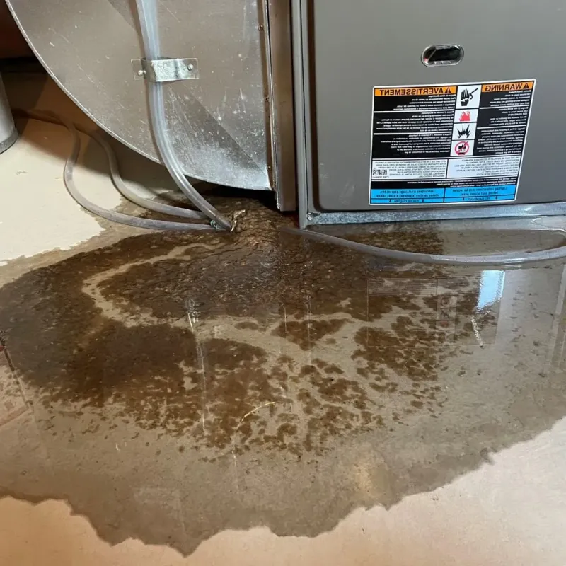 Pipe Burst and Leak Restoration in Ohkay Owingeh, NM