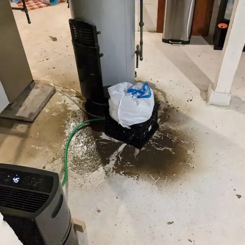 Sewage Backup Cleanup Service in Ohkay Owingeh, NM